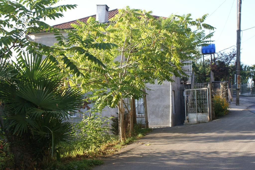Merabi And Neli Guest House Makhinjauri Bagian luar foto
